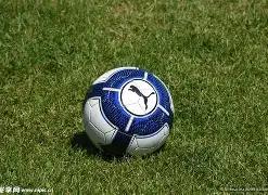 李楠指出,中国男篮与,欧美劲旅仍,万博体育,ManBetX官方网站,万博体育平台,万博体育app下载