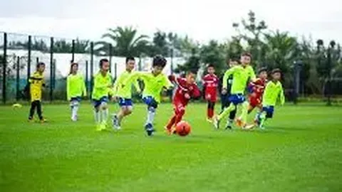 万博体育Manbetx平台 资讯 141136 vt9